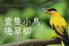 细鸣字体