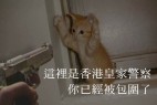 香港民间字集