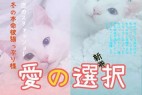 濑户字体