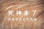 Xim Sans手写体