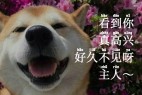 萌神拼音体