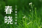 资源圆体