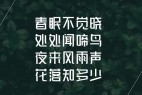 峰广明锐体