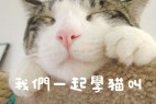 日系豆豆体