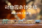 字帮玩酷体
