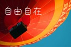 自由理想体