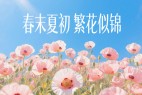 南西初夏宋