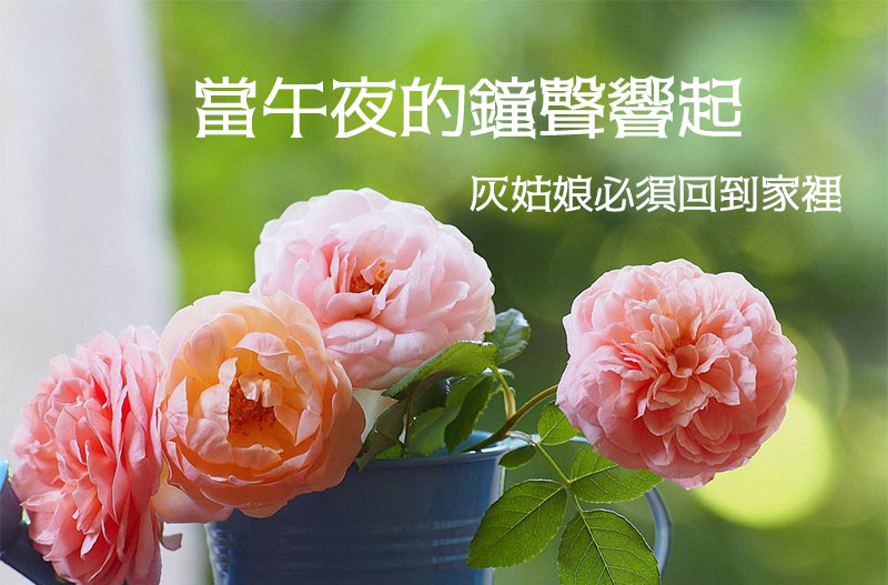 薔薇灰姑娘体字体效果预览