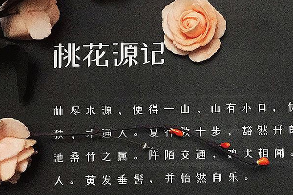 站酷小薇LOGO体效果预览